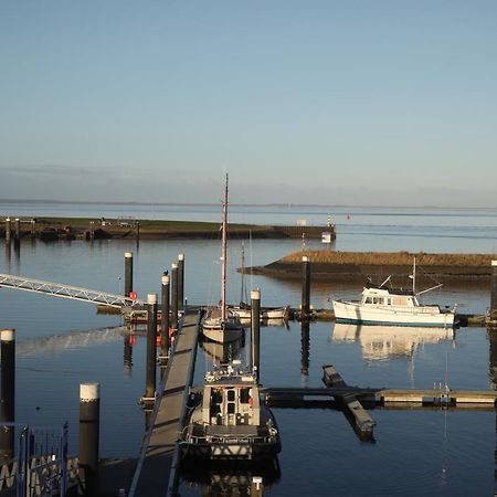 Schierzicht Logement Lauwersoog Exterior foto