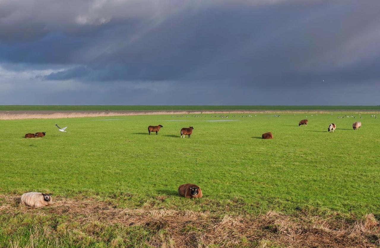 Schierzicht Logement Lauwersoog Exterior foto
